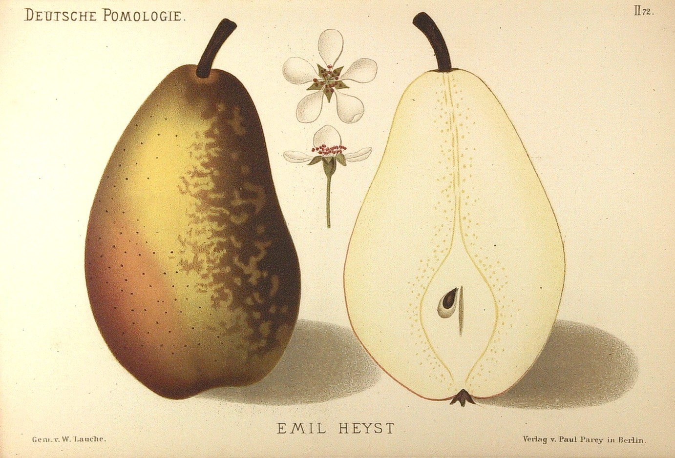 Emil Heyst